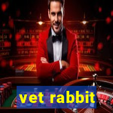 vet rabbit